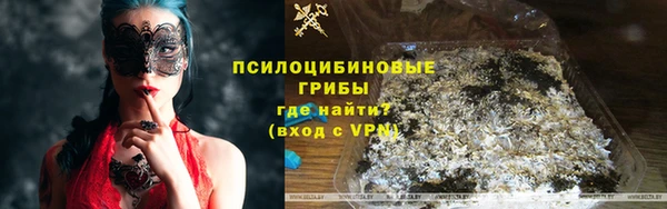 2c-b Козловка