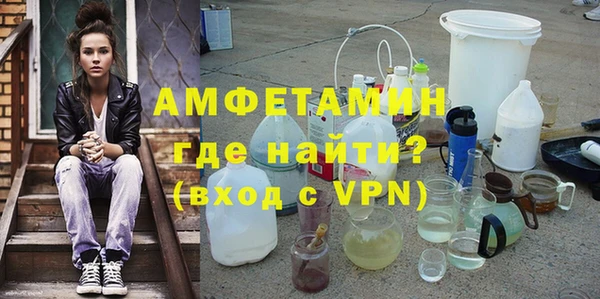 индика Пенза