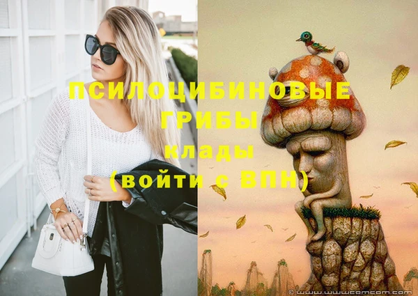 герыч Коряжма