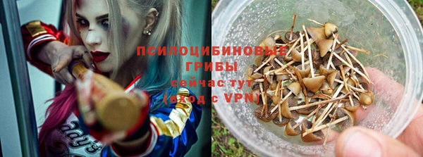 эйфоретик Кодинск