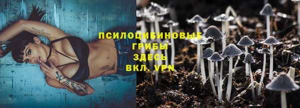 mdpv Козельск