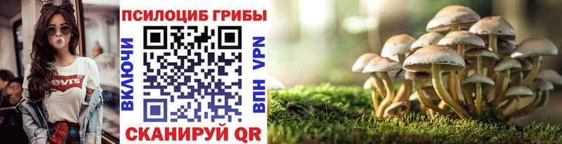 Псилоцибиновые грибы MAGIC MUSHROOMS  где купить   Сольцы 