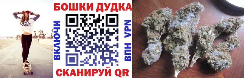Канабис сатива  сколько стоит  Сольцы 